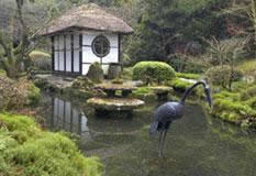jardin zen